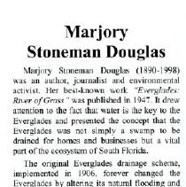 Marjory Stoneman Douglas Festival brochure