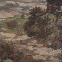 California Landscape