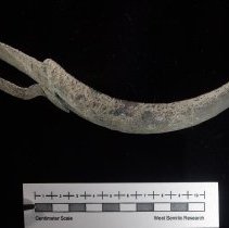 [Strigil, Body Scraper] #1