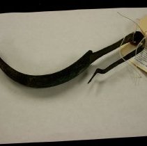 [Strigil, Body Scraper] #2