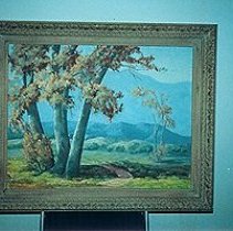 Sycamore Trees In A Panoramic Landscape [The Sycamores]