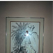 Vandalism in Lafayette Park