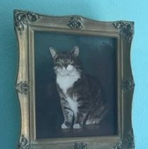 [Portrait of Room 8 against dark background]