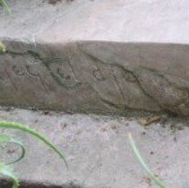 The Vanishing Race [The Vanquished Race]