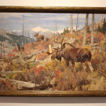 Along the Slope (or Moose in Cut Timberland)