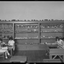 Corner of Nature Study Room at First Street Elementary.  Showing cabinets, chairs, tables.