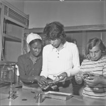 Hamilton High School Activities, Biology Class, 1972