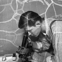 Lincoln high school activities.  Health. Boy using microscope.