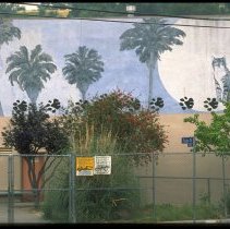 [Room 8 and Palm Trees]