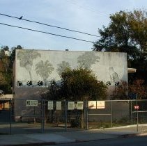 [Room 8 and Palm Trees]