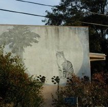 [Room 8 and Palm Trees]