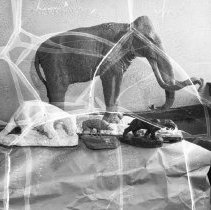 Works Progress Administration activities at Los Angeles high school.  Prehistoric animal models.