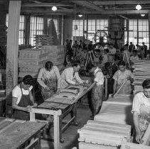 Roosevelt high school activities.  Defense activities.  Constructing stretchers for the Red cross.