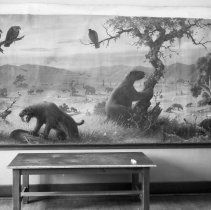 Works Progress Administration activities at Los Angeles high school.  Mural depicting prehistoric life in the La Brea tar pits.