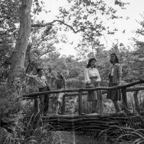 Ferndell in Griffith park, Los Angeles. (Showing students from Marshall high school on rustic bridge)
