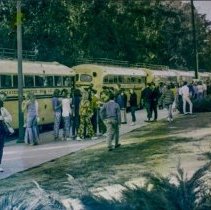 [Students getting ready for school journey or field trip with school busses at the curb.]
