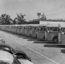 [Two dozen school busses parked in a row.]