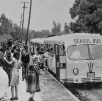 [Three school busses at curb with students.]