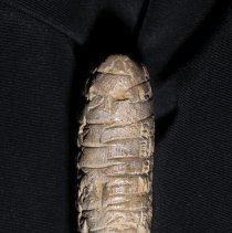 [Cuneiform Tablet] #1