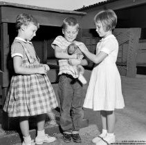 Summer classes at Chapman Avenue school.  Three children with their pet rabbit.