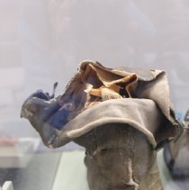 [Admiral Byrd's Boots]