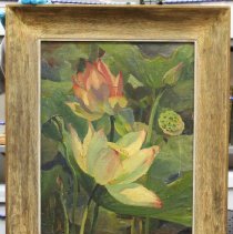 Lotus - Echo Park Lagoon [Echo Park Lake]