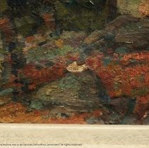 Morning in the High Sierra