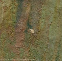 Morning in the High Sierra