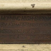 Morning in the High Sierra