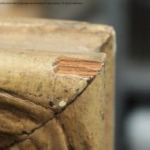 Morning in the High Sierra