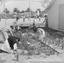 Meyler street school activities.  Special Education.  Pupils gardening.