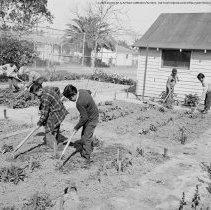 Meyler street school activities.  Development classes.