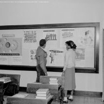 UNESCO activities, 1949