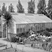 Floriculture, Burroughs Jr. High School