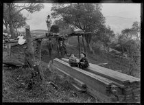 Pit sawing at Seafield. T.E. Taylor studio, c.1896-1910.