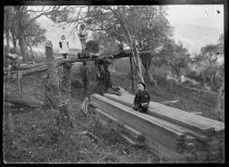 Pit sawing at Seafield. T.E. Taylor studio, c.1896-1910.