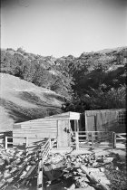 L. Crotty's waterfall. Donald J. McKay photo, 1950.