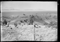 View above Goods Bush. Donald J. McKay photo, 1951