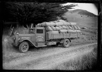 Bert Williams transporting McKay coocksfoot. Donald J. McKay photo, 1951