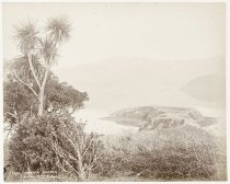 Akaroa Harbour. Burton Bros., c.1884.