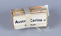 Bundle of tags for fish crates