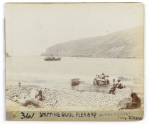 Shipping wool, Flea Bay. Conway Murphy, c.1900.