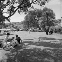 Britomart Reserve. Donald J. McKay, 1960