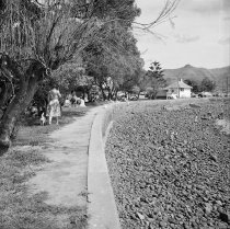 Feeding seagulls. Donald J. McKay, 1960