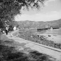 Feeding seagulls. Donald J. McKay, 1960