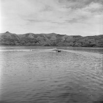 Water skiing, Akaroa Harbour. Donald J. McKay, 1960