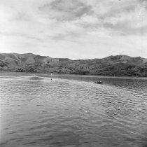 Water skiing, Akaroa Harbour. Donald J. McKay, 1960