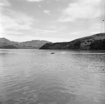 Water skiing, Akaroa Harbour. Donald J. McKay, 1960