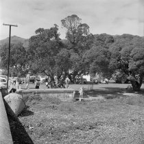 Britomart Reserve. Donald J. McKay, 1960