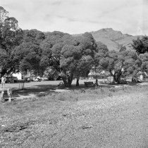 Britomart Reserve. Donald J. McKay, 1960